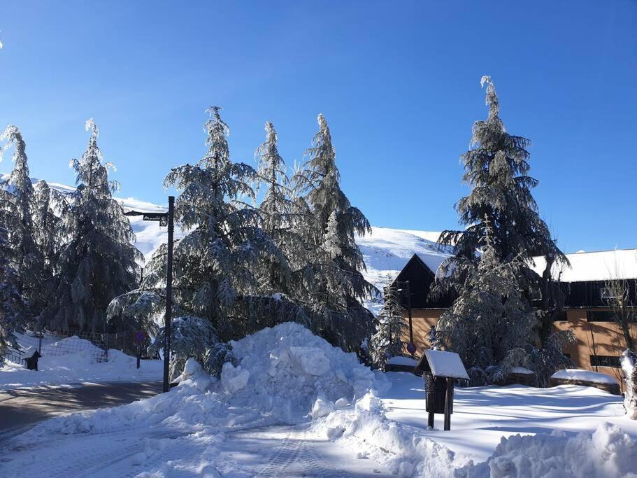 Sierra Nevada 2 Habitaciones Excelente Ubicacion 外观 照片
